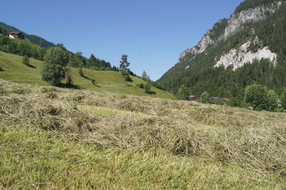 Zeffererhof Schladming Exterior foto